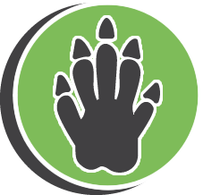 Strive Snake Removal