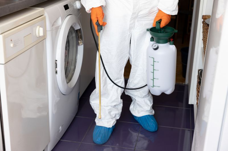 Pest Management Service in Frisco, TX
