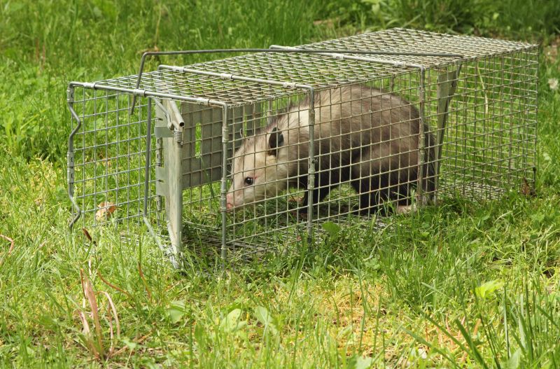 Opossum Shelter